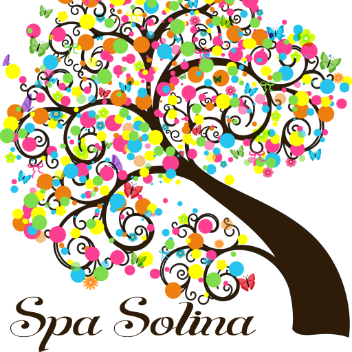 Logo SPA SOLINA Béziers marron