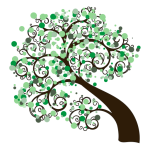 SPA BEZIERS -SPA CORNEILHAN - SPA SOLINA LOG