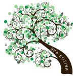 Logo new Spa Solina Béziers