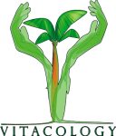 logo-vitacology-detoure-big logo-vitacology-detoure-big